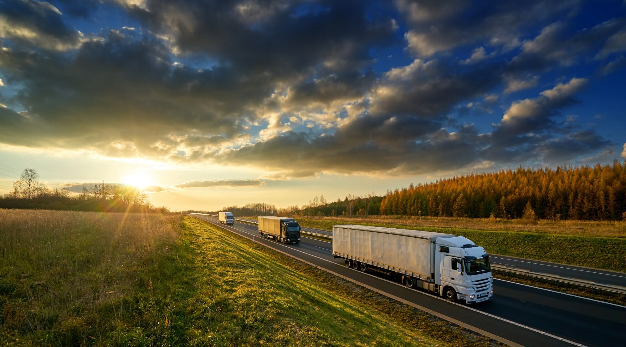 Jak długo trzeba mieć firmę żeby dostać leasing - obrazek przedstawia ciężarówki, które firma transportowa może wziąć w leasing